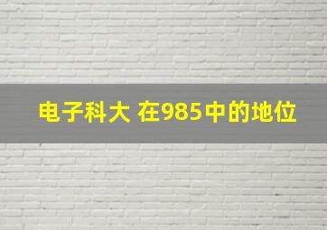 电子科大 在985中的地位